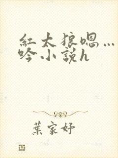 红太狼嗯…啊呻吟小说h