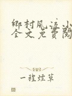 乡村风流小傻子全文免费阅读封面