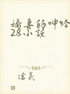 娇妻的呻吟1—28小说封面