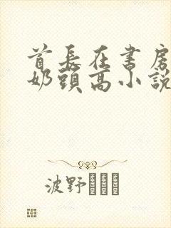 首长在书房含我奶头高小说