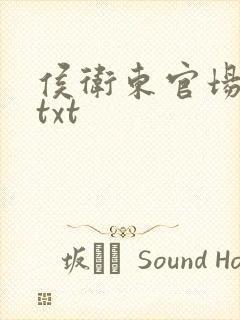 侯卫东官场笔记txt封面