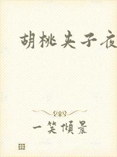 胡桃夹子夜未眠