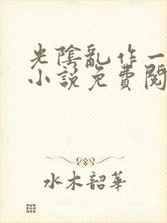 光阴乱作一团的小说免费阅读