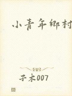 小青年乡村猎艳封面