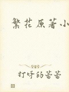 繁花原著小说封面