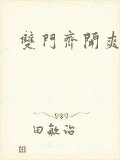 双门齐开爽死啦封面