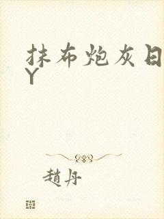 抹布炮灰日记BY封面