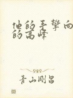 他的手攀向了我的高峰封面
