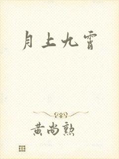 月上九霄封面