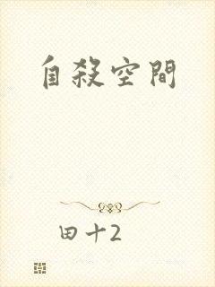 自杀空间封面