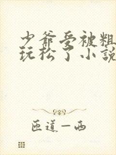 少爷受被粗汉H玩松了小说