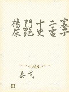 杨门十二寡妇肉床艳史电子书封面