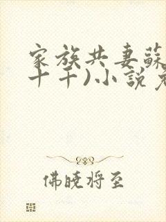 家族共妻苏苏(十千)小说免费