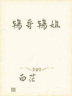 鸨哥鸨姐