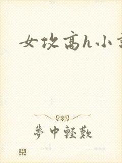 女攻高h小说
