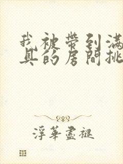 我被带到满是玩具的房间挑调游戏