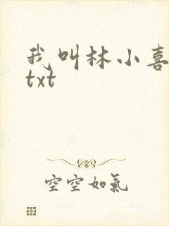 我叫林小喜小说txt
