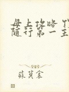 母上攻略 竹影随行第一主板