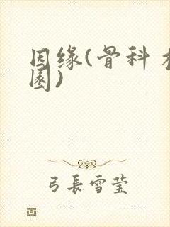 因缘(骨科 校园)