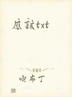 应该txt