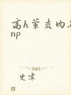 高h荤爽肉欲文np