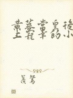 黄蓉当皇后被皇上宠幸的小说叫什么封面