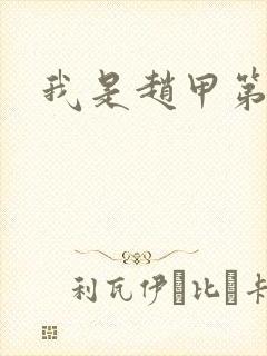 我是赵甲第小说封面