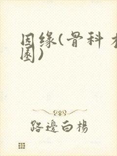 因缘(骨科 校园)