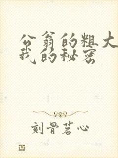 公翁的粗大放进我的秘密