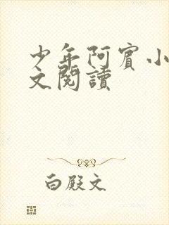 少年阿宾小说全文阅读