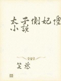 太子侧妃傻乎乎小说封面