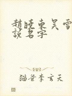 赵晓东吴雪晴小说名字