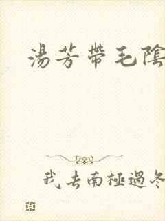 汤芳带毛阴部