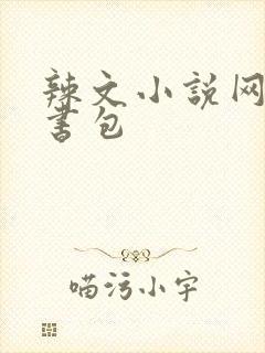 辣文小说网第二书包封面