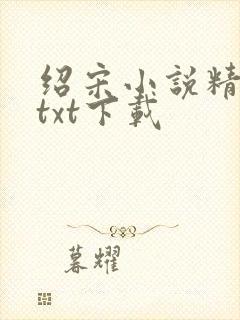 绍宋小说精校版txt下载