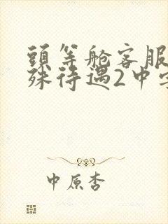 头等舱客服的特殊待遇2中字