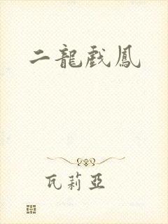 二龙戏凤