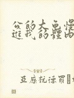 公的大龟慢慢挺进我的体内