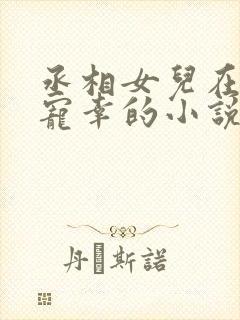 丞相女儿在书房宠幸的小说