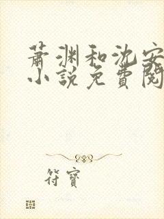 萧渊和沈安安的小说免费阅读封面