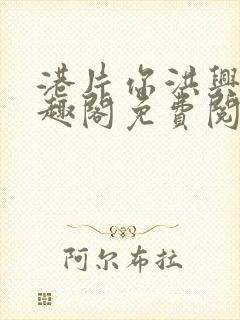 港片你洪兴仔笔趣阁免费阅读全文封面