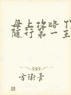 母上攻略 竹影随行第一主板封面