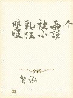 双乳被两个男人吸住小说封面