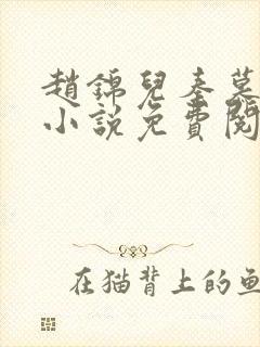 赵锦儿秦慕修的小说免费阅读全文