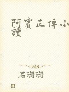 阿宾正传小说在读