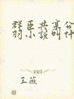 群臣共享公主银羽小说叫什么