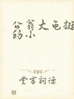 公翁大龟挺进我的小