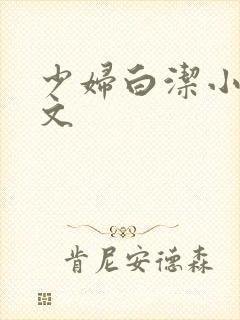 少妇白洁小说全文封面