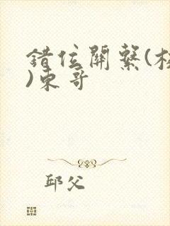 错位关系(校园)东哥封面