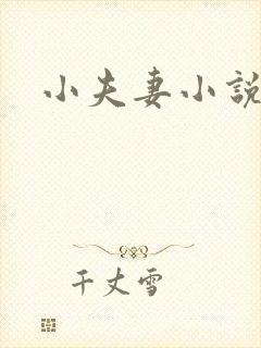 小夫妻小说